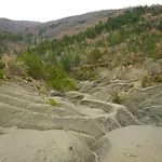 Stancija Ruseti