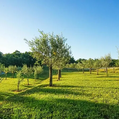 Stancija Ruseti Bed & Breakfast 5*