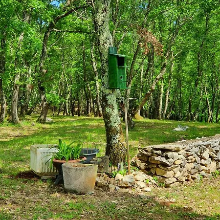 Alojamento de Acomodação e Pequeno-almoço Stancija Ruseti