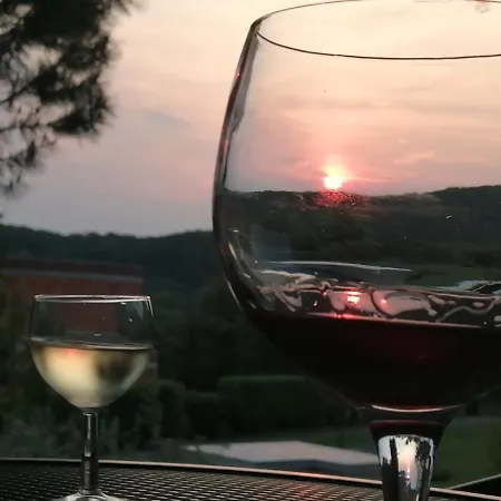 Stancija Ruseti Bed & Breakfast 5*