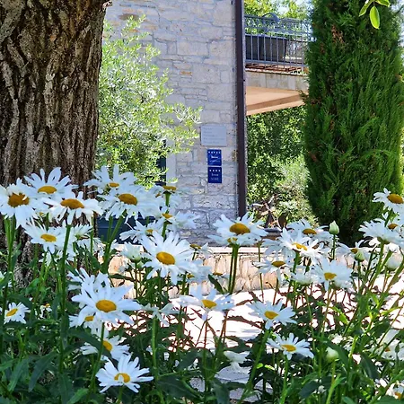 Bed & Breakfast Stancija Ruseti Oprtalj