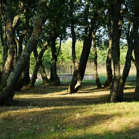 Bed & Breakfast Stancija Ruseti 5*