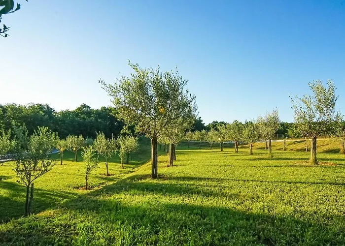 Stancija Ruseti Bed & Breakfast 5*