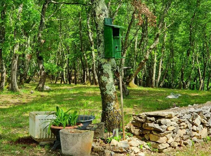 Bed & Breakfast Stancija Ruseti