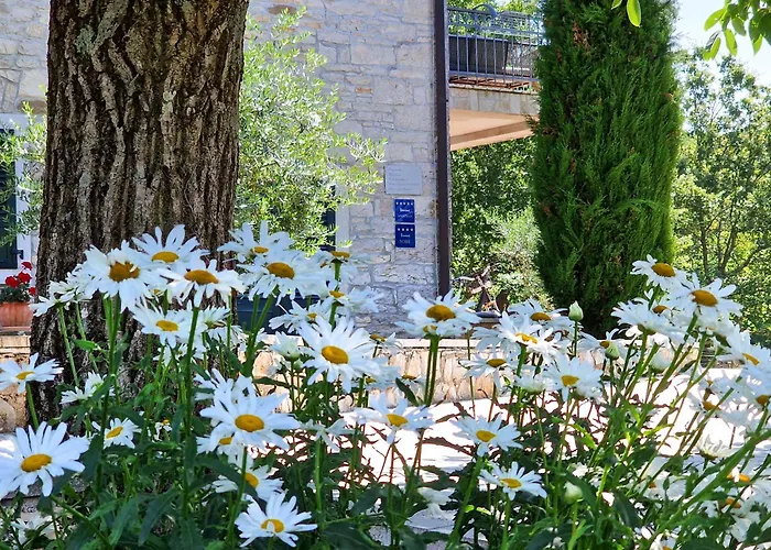 Bed & Breakfast Stancija Ruseti Oprtalj