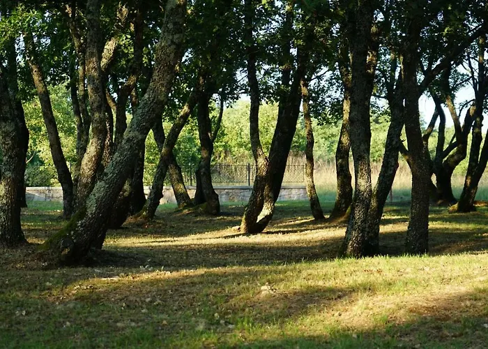 Bed & Breakfast Stancija Ruseti 5*